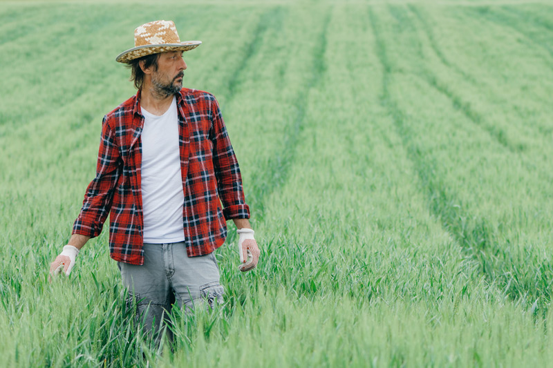 Agricultura regenerativa, un paso más hacia un futuro sostenible (Parte 2)