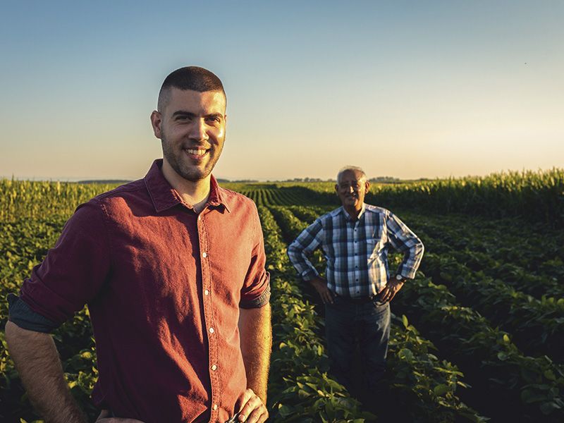 Beneficios de la rotación de cultivos