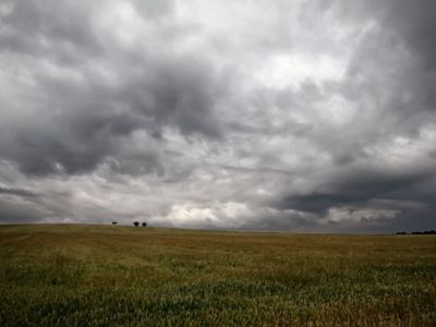 Retrasos en las cosechas del cereal por las tormentas y granizo